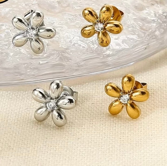 Puce d'oreille Marguerite