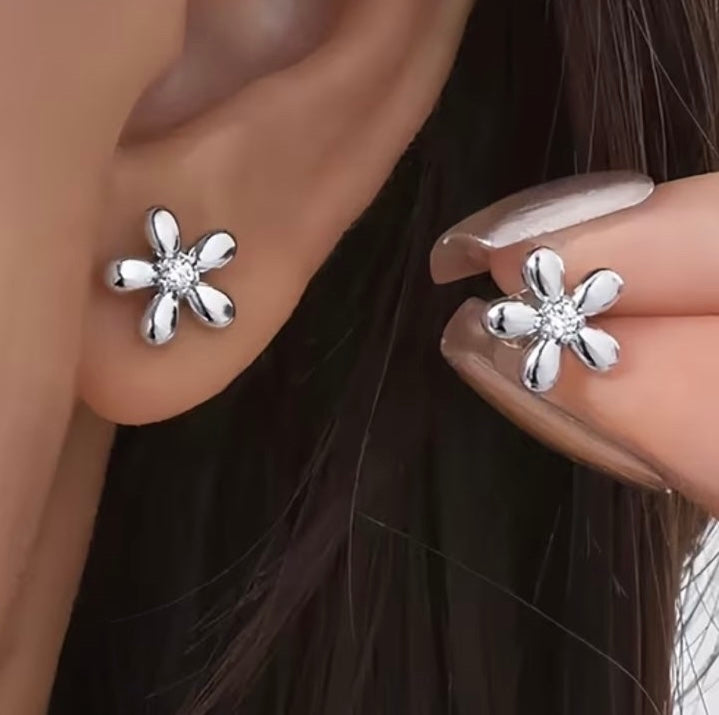 Puce d'oreille Marguerite
