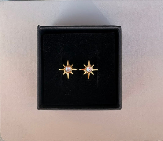 Puce d'oreille Sophie