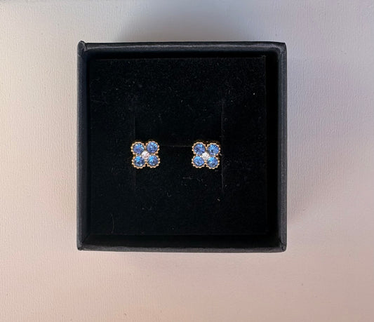 Puce d'oreille princesse